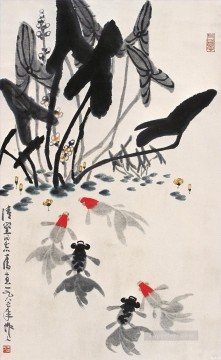 Wu zuoren peces de colores y nenúfares tinta china antigua Pinturas al óleo